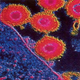 Illustration for article titled Scientists Find Out Why Your Granny Was Right About the Common Cold